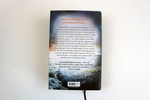 Produktbild: Nach dem Sturm