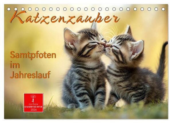 Produktbild: Katzenzauber - Samtpfoten im Jahreslauf (Tischkalender 2026 DIN A5 quer), CALVENDO Monatskalender