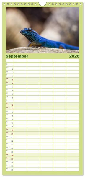 Produktbild: Familienplaner 2026 - Echsen - Schuppige &Uuml;berlebensk&uuml;nstler mit 5 Spalten (Wandkalender, 21 x 45 cm) CALVENDO