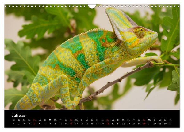 Produktbild: Reptilien & Co. (Wandkalender 2026 DIN A3 quer), CALVENDO Monatskalender