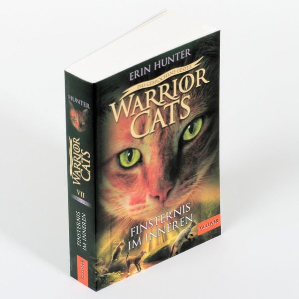 Produktbild: Warrior Cats - Das gebrochene Gesetz. Finsternis im Inneren