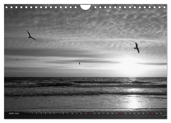 Produktbild: 54&deg;54'57"N 8&deg;19'51"E SYLT (Wandkalender 2026 DIN A4 quer), CALVENDO Monatskalender