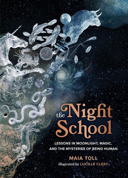 Produktbild: The Night School