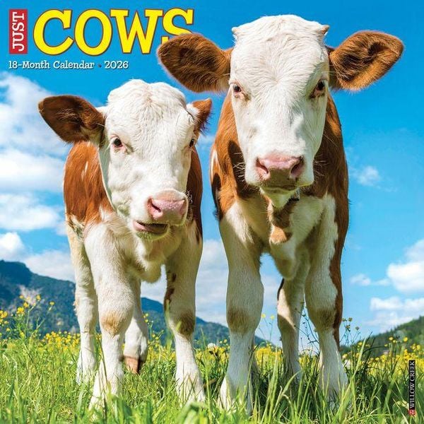 Produktbild: Cows 2026 Wall Calendar