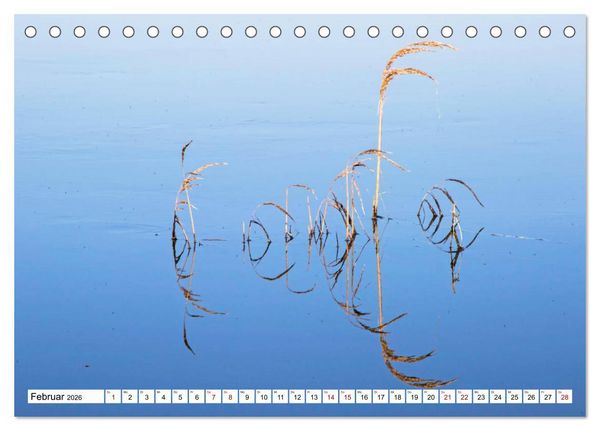 Produktbild: Cotentin &ndash; unser St&uuml;ck vom Paradies (Tischkalender 2026 DIN A5 quer), CALVENDO Monatskalender