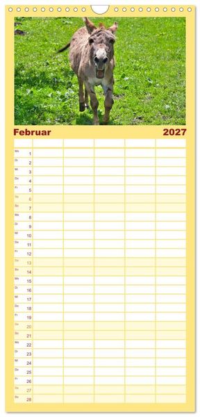 Produktbild: Familienplaner 2027 - Liebenswerte Esel mit 5 Spalten (Wandkalender, 21 x 45 cm) CALVENDO