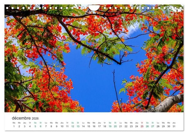 Produktbild: Magnifique &icirc;le Maurice (Calendrier mural 2026 DIN A4 vertical), CALVENDO calendrier mensuel