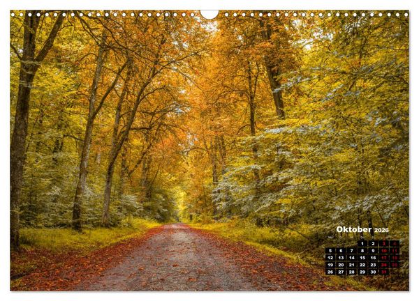 Produktbild: Rund um den Sch&ouml;nbuch (Wandkalender 2026 DIN A3 quer), CALVENDO Monatskalender