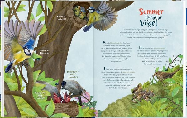 Produktbild: Mein Vogelbuch