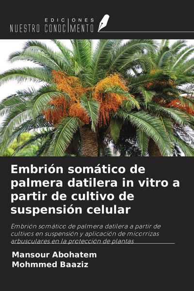 Produktbild: Embri&oacute;n som&aacute;tico de palmera datilera in vitro a partir de cultivo de suspensi&oacute;n celular