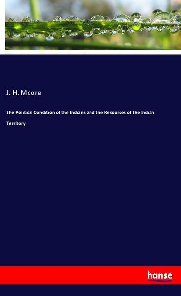Produktbild: The Political Condition of the Indians and the Resources of the Indian Territory