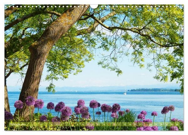 Produktbild: Farbenfroh Bodensee (Wandkalender 2026 DIN A3 quer), CALVENDO Monatskalender