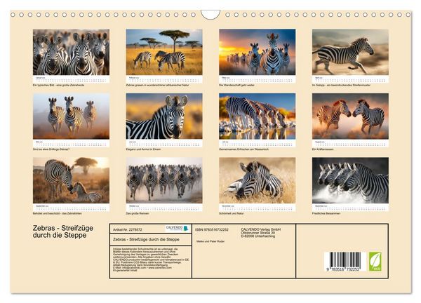 Produktbild: Zebras - Streifz&uuml;ge durch die Steppe (Wandkalender 2026 DIN A3 quer), CALVENDO Monatskalender