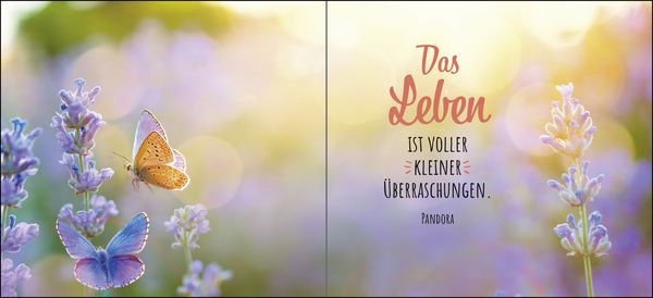 Produktbild: Ich schenke dir ein St&uuml;ck vom Gl&uuml;ck