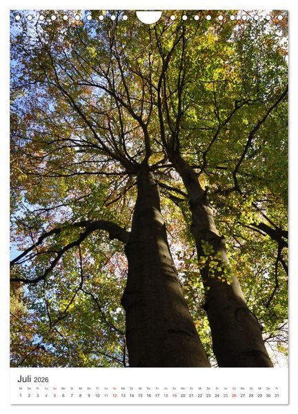Produktbild: Faszination der Farben im Naturpark Lappwald (Wandkalender 2026 DIN A4 hoch), CALVENDO Monatskalender