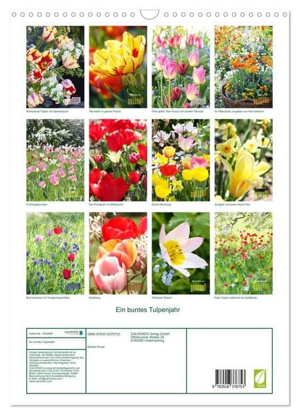 Produktbild: Ein buntes Tulpenjahr (Wandkalender 2026 DIN A3 hoch), CALVENDO Monatskalender