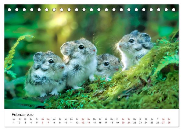 Produktbild: Lemminge - Kleine Helden der Tundra (Tischkalender 2027 DIN A5 quer), CALVENDO Monatskalender
