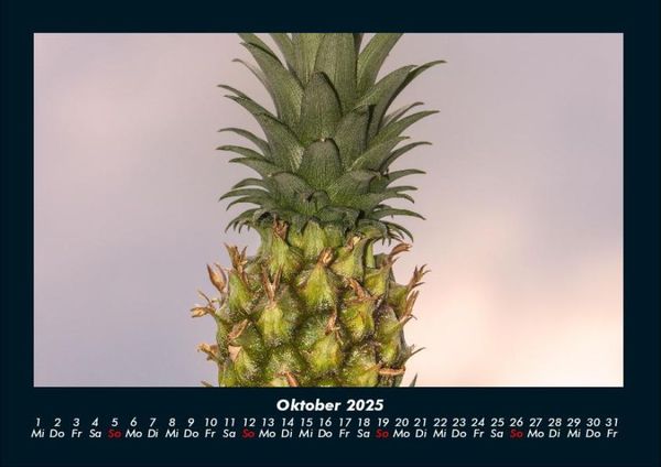 Produktbild: Obstkalender 2025 Fotokalender DIN A4