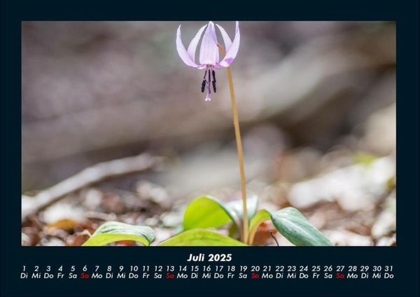 Produktbild: Blumenzauber 2025 Fotokalender DIN A4