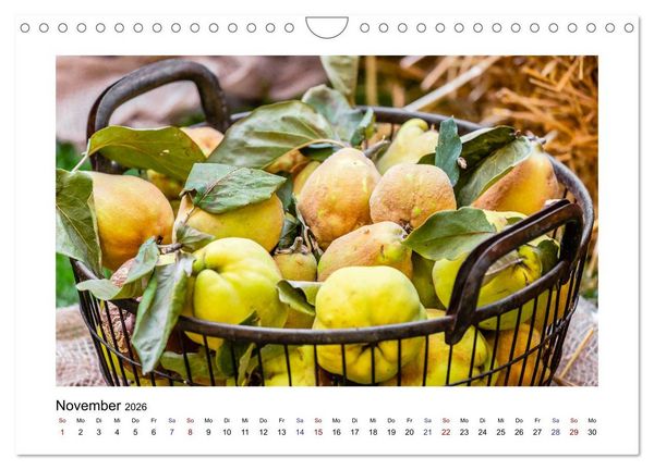 Produktbild: Wochenmarkt - Genussvoll Einkaufen (Wandkalender 2026 DIN A4 quer), CALVENDO Monatskalender