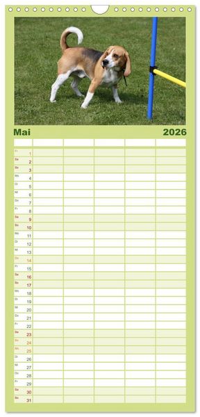Produktbild: Familienplaner 2026 - Beagle mit 5 Spalten (Wandkalender, 21 x 45 cm) CALVENDO