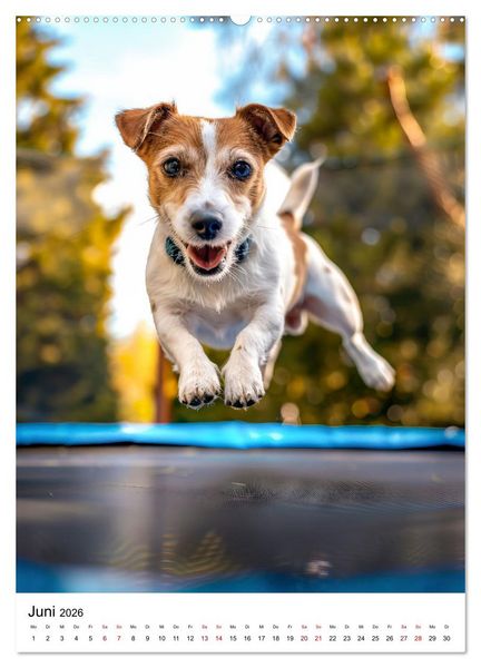 Produktbild: Hunde haben Spa&szlig; (Wandkalender 2026 DIN A2 hoch), CALVENDO Monatskalender
