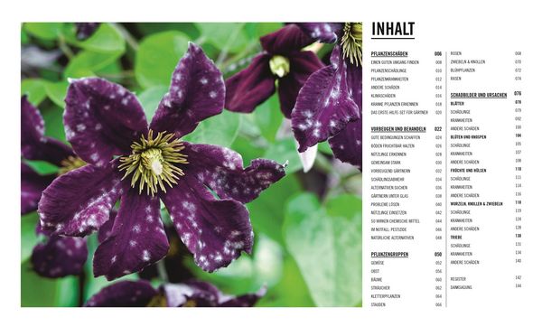 Produktbild: Gr&uuml;nes Gartenwissen. Krankheiten und Sch&auml;dlinge
