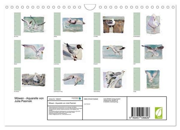 Produktbild: M&ouml;wen - Aquarelle von Julia Pasinski (Wandkalender 2026 DIN A4 quer), CALVENDO Monatskalender