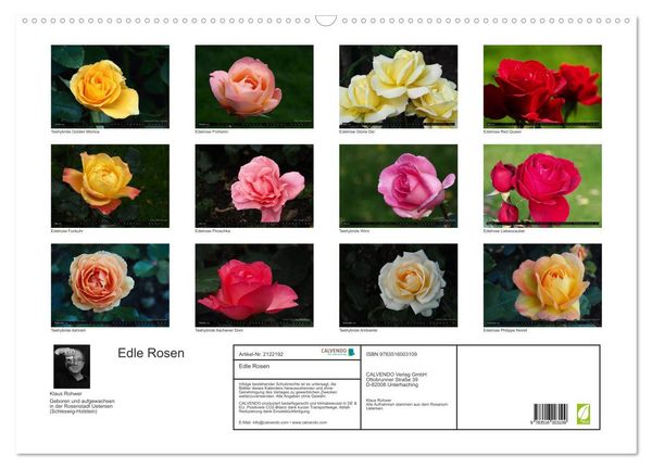 Produktbild: Edle Rosen (Wandkalender 2026 DIN A2 quer), CALVENDO Monatskalender