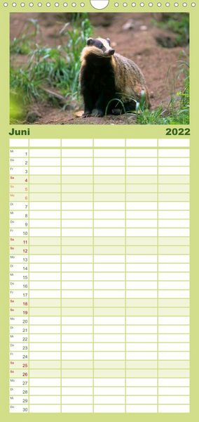 Produktbild: Familienplaner Tiere des Waldes (Wandkalender 2022 , 21 cm x 45 cm, hoch)