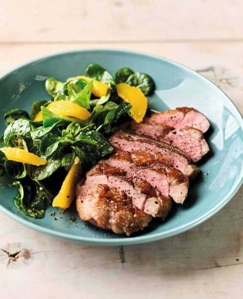 Produktbild: OPTImal Grillen - OPTIgrill Kochbuch Rezeptbuch