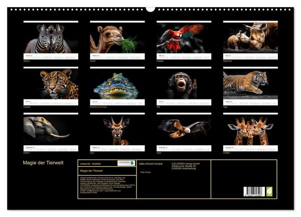Produktbild: Magie der Tierwelt (Wandkalender 2026 DIN A2 quer), CALVENDO Monatskalender