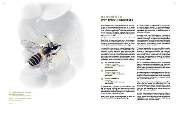 Produktbild: Wildbienenhelfer