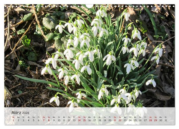 Produktbild: Vier Jahreszeiten - Eine Welt (Wandkalender 2026 DIN A3 quer), CALVENDO Monatskalender