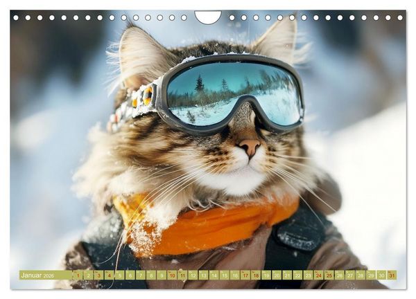 Produktbild: Lustige Sportarten f&uuml;r Katzen (Wandkalender 2026 DIN A4 quer), CALVENDO Monatskalender