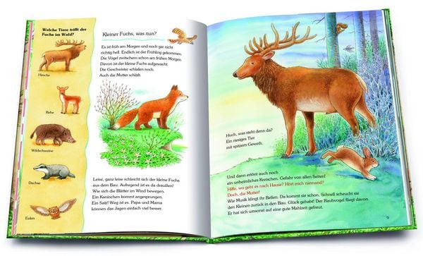Produktbild: Unser Wald und seine Tiere. Die sch&ouml;nsten Geschichten mit vielen Sachinformationen
