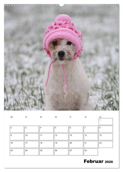 Produktbild: Tender Fellows - Parson Russell Terrier (Wandkalender 2026 DIN A2 hoch), CALVENDO Monatskalender