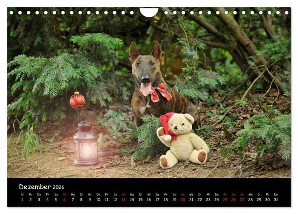 Produktbild: Bullterrier? Was sonst! (Wandkalender 2026 DIN A4 quer), CALVENDO Monatskalender