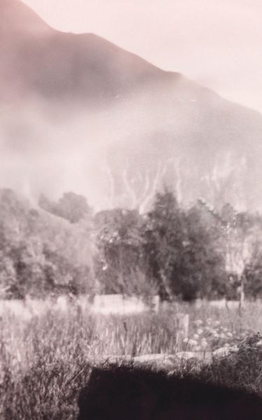 Produktbild: Rilke in der Schweiz