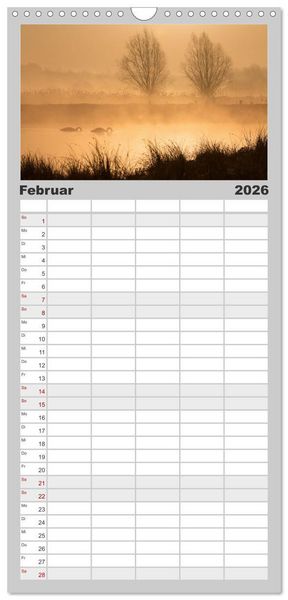 Produktbild: Familienplaner 2026 - Der H&ouml;ckerschwan elegant und stolz mit 5 Spalten (Wandkalender, 21 x 45 cm) CALVENDO