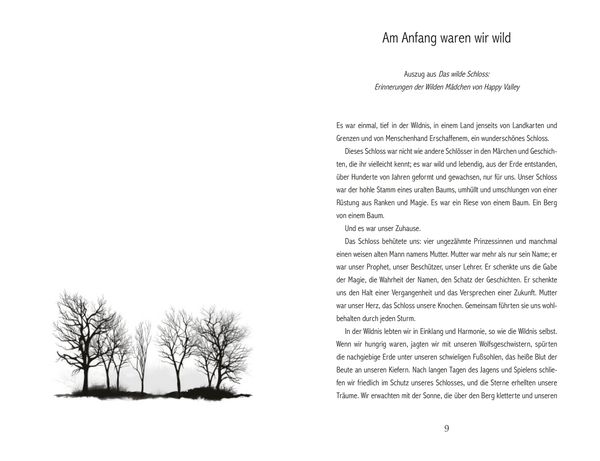 Produktbild: The Wilderness of Girls