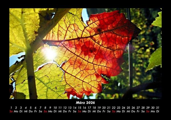 Produktbild: Natur 2026 Fotokalender DIN A3