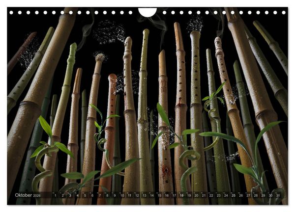 Produktbild: Musica fant&aacute;sia - Die wundersame Welt des Fotok&uuml;nstlers Olaf Bruhn (Wandkalender 2026 DIN A4 quer), CALVENDO Monatskalender