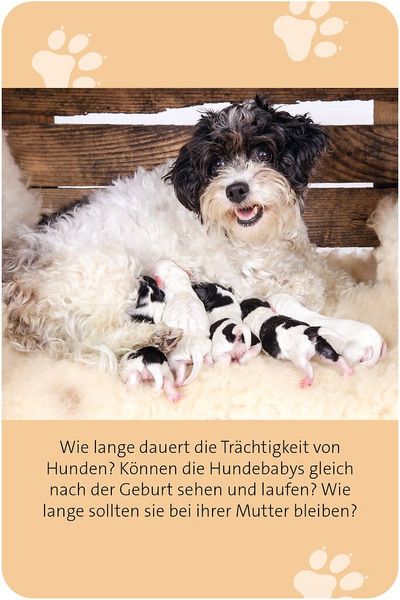 Produktbild: Das gro&szlig;e Hunde Quiz