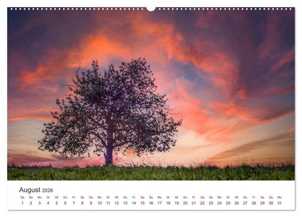 Produktbild: B&auml;ume - Gelebtes Leben (hochwertiger Premium Wandkalender 2026 DIN A2 quer), Kunstdruck in Hochglanz