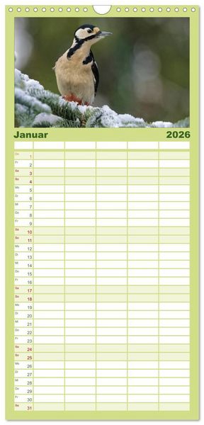 Produktbild: Familienplaner 2026 - Heimische Gartenv&ouml;gel mit 5 Spalten (Wandkalender, 21 x 45 cm) CALVENDO