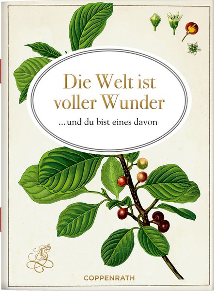 Produktbild: Die Welt ist voller Wunder