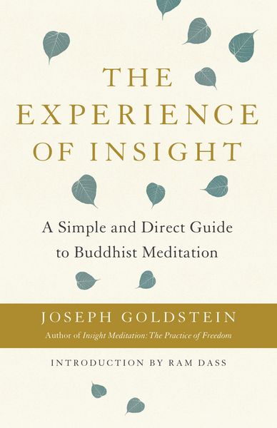 Produktbild: The Experience of Insight