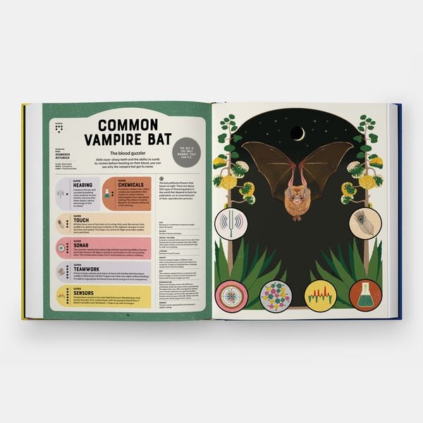Produktbild: Superpowered Animals