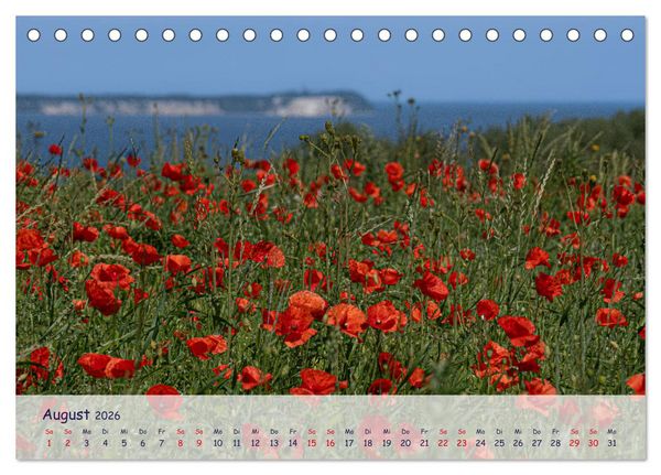 Produktbild: R&uuml;genliebe (Tischkalender 2026 DIN A5 quer), CALVENDO Monatskalender